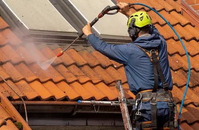 Démoussage et hydrofuge de toiture à Cussac